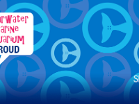 Facebook Cover Photos